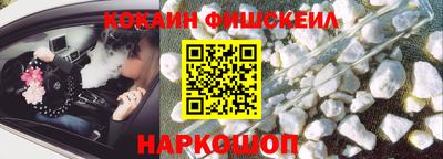 крисы Моздок