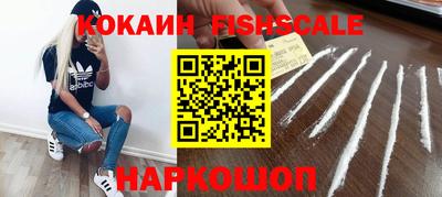 крисы Моздок