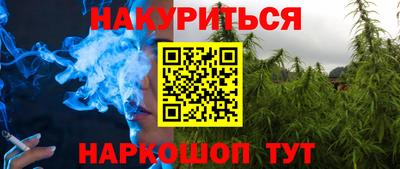 крисы Моздок