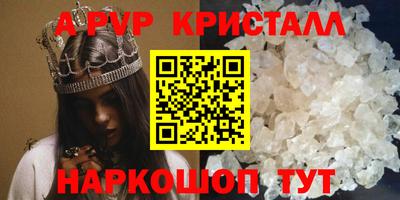 крисы Моздок