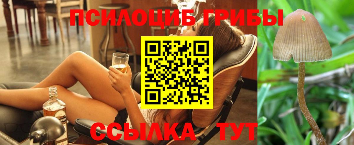 Сургут  Галлюциногенные грибы прущие грибы  Псилоцибиновые грибы прущие грибы  Вход с VPN 