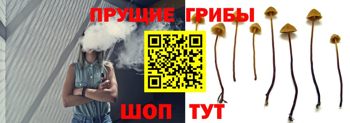 Галлюциногенные грибы MAGIC MUSHROOMS Сургут